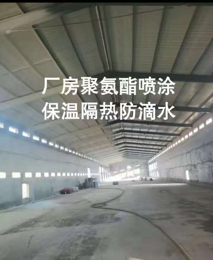 厂房聚氨酯喷涂